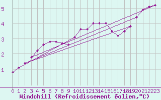 Courbe du refroidissement olien pour Humain (Be)