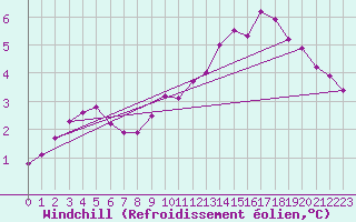 Courbe du refroidissement olien pour Kleine-Brogel (Be)