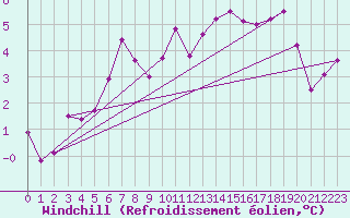 Courbe du refroidissement olien pour Schauenburg-Elgershausen