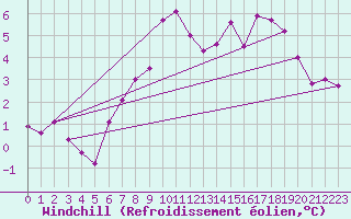 Courbe du refroidissement olien pour Lough Fea