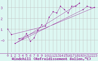 Courbe du refroidissement olien pour Bad Lippspringe