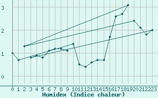 Courbe de l'humidex pour Skagen