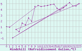 Courbe du refroidissement olien pour Leck