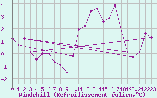 Courbe du refroidissement olien pour Weiden