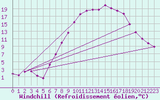 Courbe du refroidissement olien pour Belorado