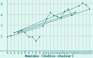 Courbe de l'humidex pour Tesseboelle