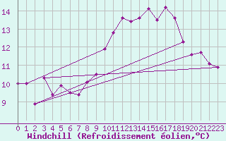 Courbe du refroidissement olien pour Lough Fea