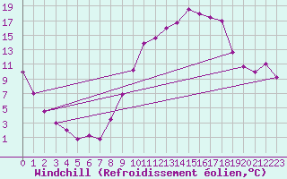 Courbe du refroidissement olien pour Viseu