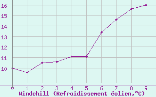 Courbe du refroidissement olien pour Cervena