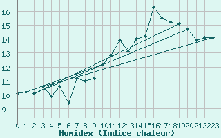 Courbe de l'humidex pour Magilligan