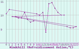 Courbe du refroidissement olien pour Hoek Van Holland
