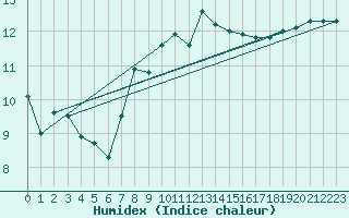 Courbe de l'humidex pour Thorney Island