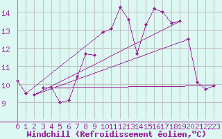 Courbe du refroidissement olien pour Lough Fea
