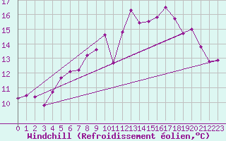 Courbe du refroidissement olien pour Wdenswil