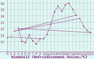 Courbe du refroidissement olien pour Dunkerque (59)