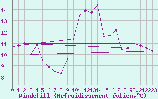 Courbe du refroidissement olien pour Kleine-Brogel (Be)