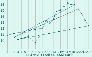 Courbe de l'humidex pour Sain-Bel (69)