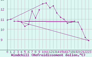 Courbe du refroidissement olien pour Bad Marienberg