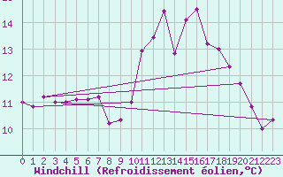Courbe du refroidissement olien pour Sarzeau (56)