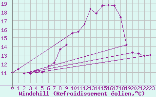 Courbe du refroidissement olien pour Weihenstephan