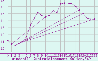 Courbe du refroidissement olien pour Dourbes (Be)