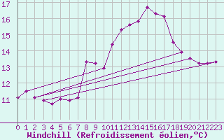 Courbe du refroidissement olien pour Weihenstephan