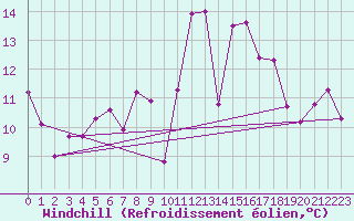 Courbe du refroidissement olien pour Oviedo