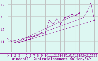 Courbe du refroidissement olien pour Pointe du Raz (29)