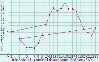 Courbe du refroidissement olien pour Viseu