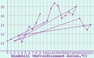 Courbe du refroidissement olien pour Roches Point