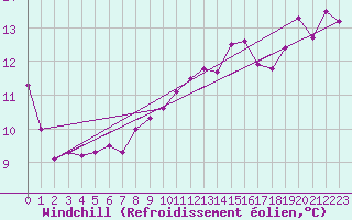 Courbe du refroidissement olien pour Schleiz