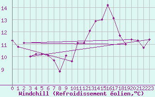 Courbe du refroidissement olien pour Albi (81)