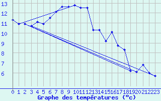 Courbe de tempratures pour Amur (79)