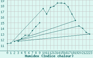Courbe de l'humidex pour Nesbyen-Todokk