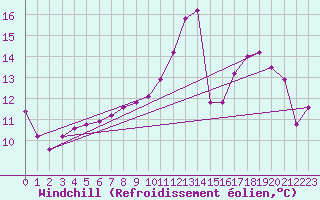 Courbe du refroidissement olien pour Havinnes (Be)