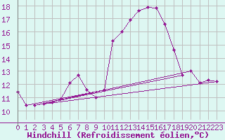 Courbe du refroidissement olien pour Negotin