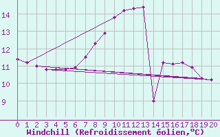 Courbe du refroidissement olien pour Biere