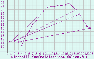 Courbe du refroidissement olien pour Bad Salzuflen