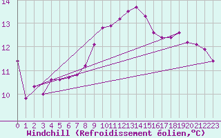 Courbe du refroidissement olien pour Oviedo