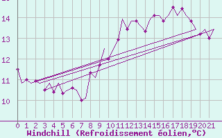 Courbe du refroidissement olien pour Braunschweig