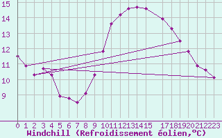 Courbe du refroidissement olien pour Renwez (08)
