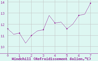 Courbe du refroidissement olien pour Frankfort (All)