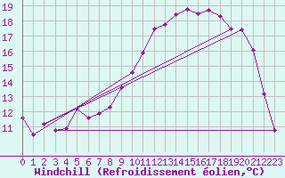 Courbe du refroidissement olien pour Amur (79)