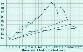 Courbe de l'humidex pour Belorado