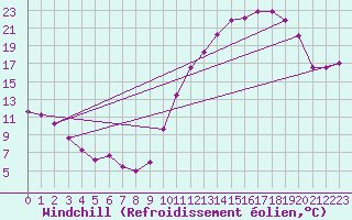 Courbe du refroidissement olien pour Baron (33)