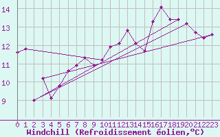 Courbe du refroidissement olien pour Mace Head