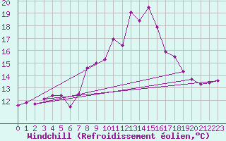 Courbe du refroidissement olien pour Coleshill