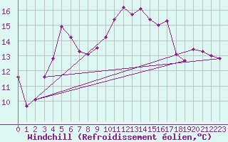 Courbe du refroidissement olien pour Zeebrugge