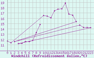 Courbe du refroidissement olien pour Ile du Levant (83)