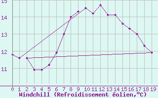 Courbe du refroidissement olien pour Saerheim